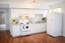 Two Bedroom legal basement in Saddlecrest NE