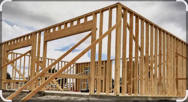 Professional Framing Services