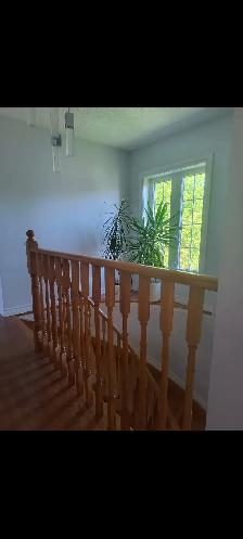Rooms for rent female occupancy - Photo 6