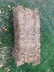 Wheat Straw Bales- Stony Mountain Area - Photo 2
