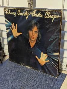Shaun Cassidy Under Wraps on vinyl