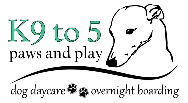 K9to5 Paws and Play Dog Daycare and Boarding