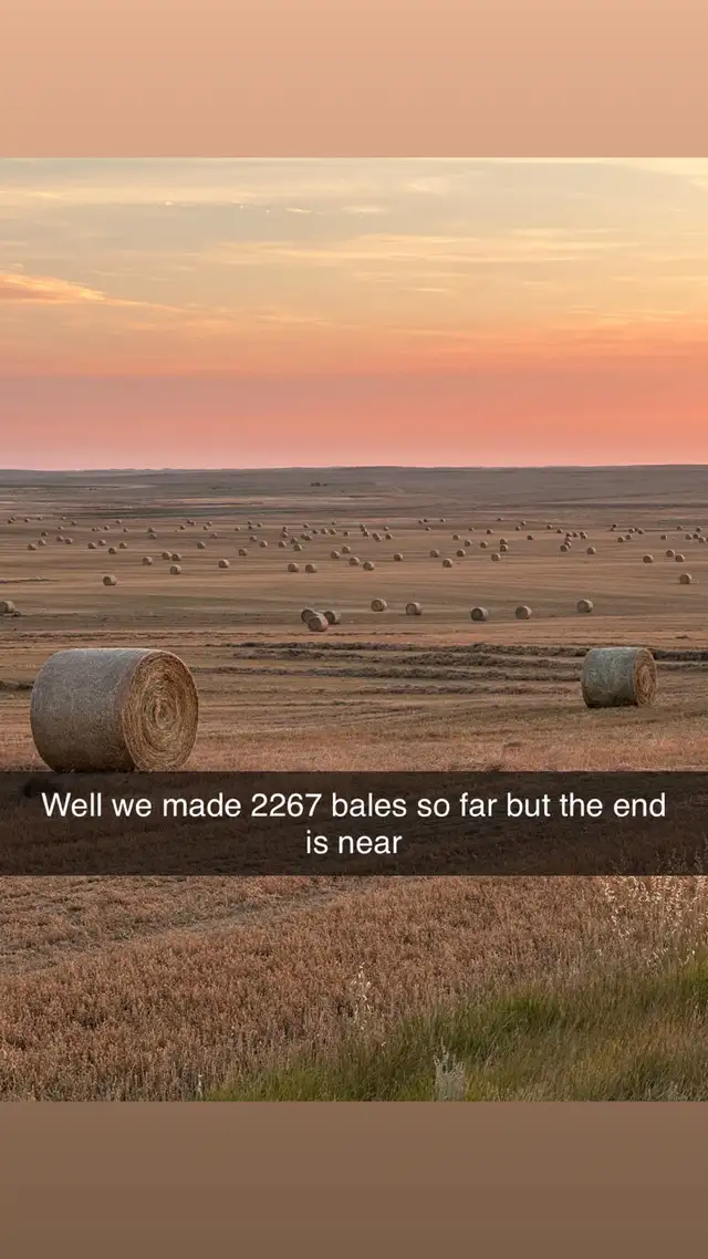 round bales