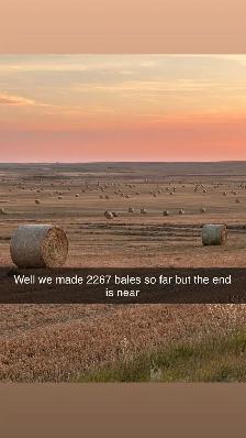 round bales