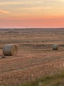 round bales - Photo 2