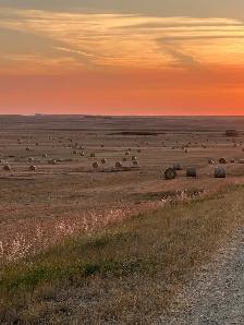 round bales - Photo 3