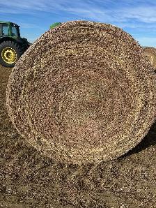 round bales - Photo 5