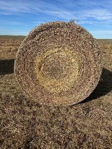 round bales - Photo 6