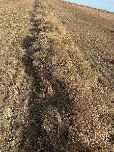 round bales - Photo 7