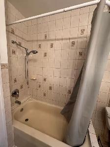 $1,250 utility For Rent: 1 bedroom &(shared kitchen & washroom) - Photo 3