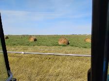 hay for sale - Photo 2