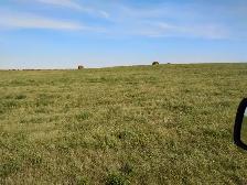 hay for sale - Photo 3