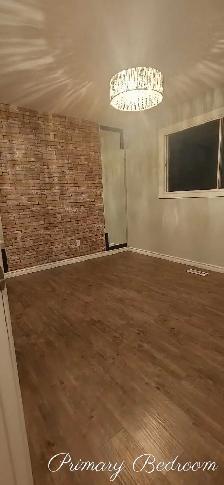 Clean, Spacious, 3 Bed & 1 Bath Main Floor Suite | $1,800/mth - Photo 6