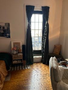 Character Room with Rooftop Patio Access — $764.03 — Nov 1