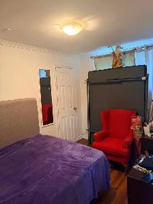 2 Bedroom, 1 Bathroom Basement Apartment for rent. - Photo 5