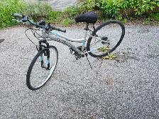 Ladies Commuter Bike For Sale