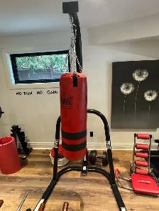 boxing bad and stand - Photo 4