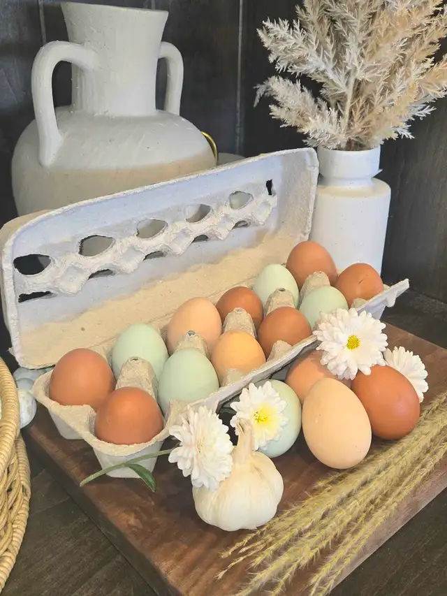 Farm Fresh Eggs