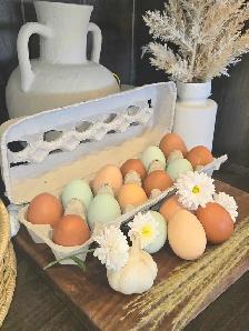 Farm Fresh Eggs
