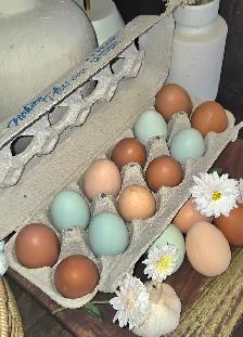 Farm Fresh Eggs - Photo 2