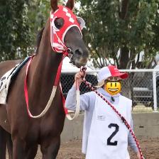 Large Thoroughbred Looking A New Home! - Photo 4