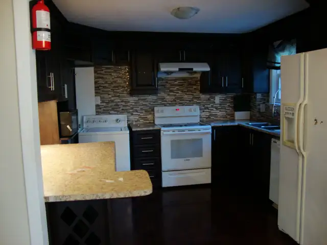 One basement room available for rent in a house near UTSC