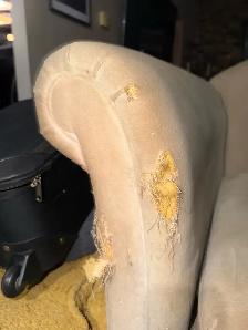 FREE COUCH - Photo 2