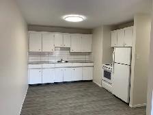 1-Bedroom Suite for Rent: