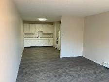 1-Bedroom Suite for Rent: - Photo 2