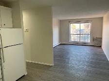 1-Bedroom Suite for Rent: - Photo 3
