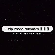 Vip Phone Numbers Easy To Remember Vip Phone Numbers