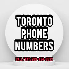 Toronto Phone Numbers Easy To Remember Vip Phone Numbers
