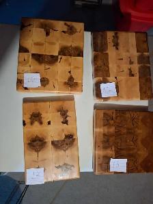 END GRAIN WOOD BOARD - Photo 5