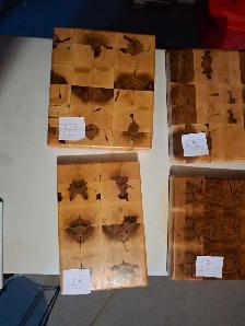 END GRAIN WOOD BOARD - Photo 7