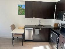 Bachelor unit for rent - Photo 2