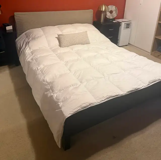 Lit bois massif sans matelas