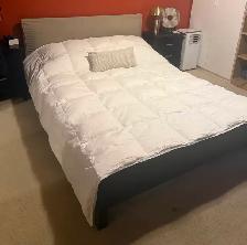 Lit bois massif sans matelas