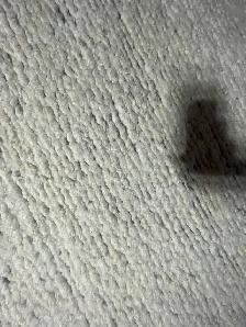 100 % New Zealand Wool King 2024 Collection Lillico Rug 9x12 - Photo 4