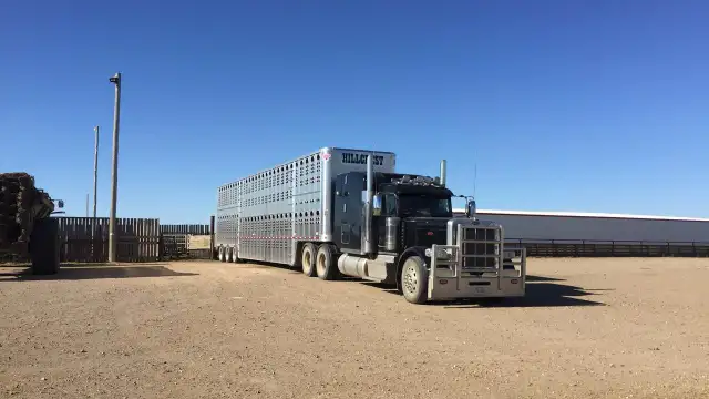 Bale/ Cattle hauler