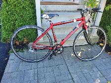 Opus Capriccio Hybrid Bike - Photo 2