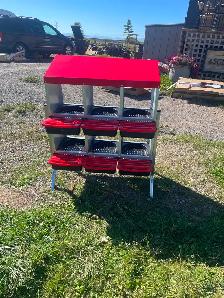 Lay box for chickens - Photo 3