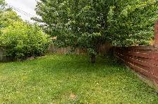 1 Bedroom   Den Basement Apartment for Rent | Pickering - Photo 2