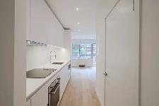 modern studio apartment near McGill - ID 1233