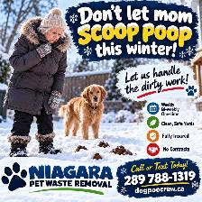 Dont Let Mom Scoop poop this Winter