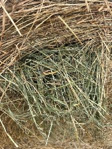 Grass hay bales - Photo 2