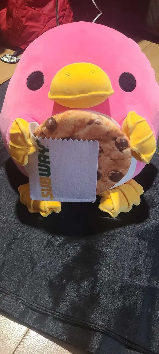Whitney the Platypus Plushie