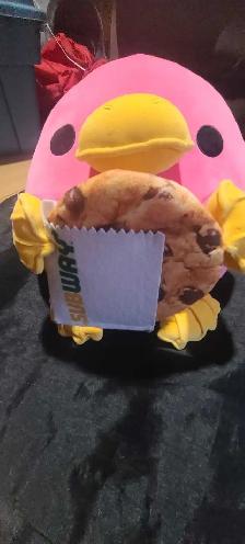 Whitney the Platypus Plushie - Photo 2
