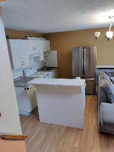 Main floor house for rent - Photo 3