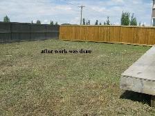 Steel Tree Stake Removal, Old Fence Removal, Weeds - Photo 3