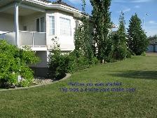 Steel Tree Stake Removal, Old Fence Removal, Weeds - Photo 9